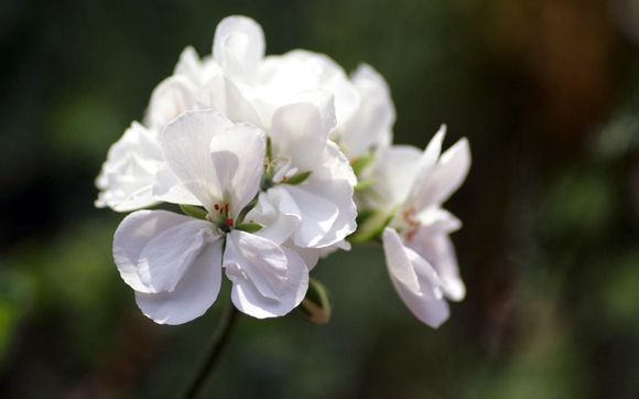 如何更改七彩灯程序